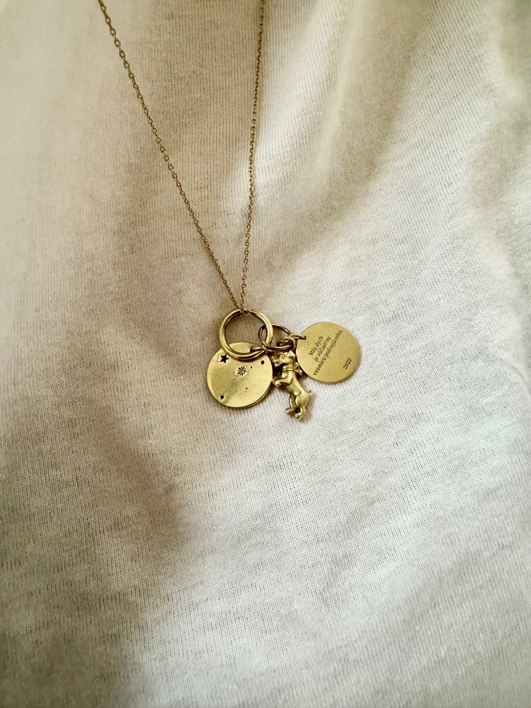 Obrázek nahrál Irónia