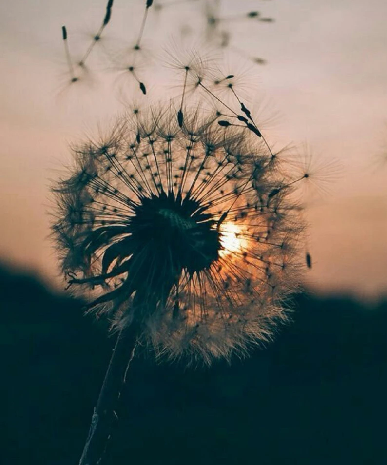 Sliko je naložil Flo