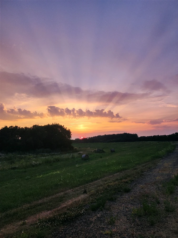 Piró által feltöltött kép