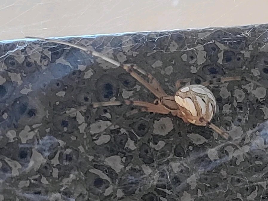 Image uploaded by Alyssa
