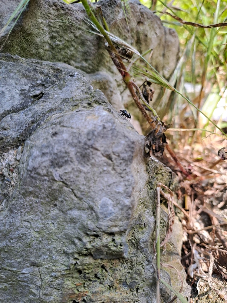 Zoenna tarafından yüklenen görsel