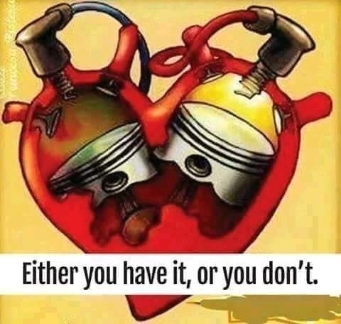 Image uploaded by Oli