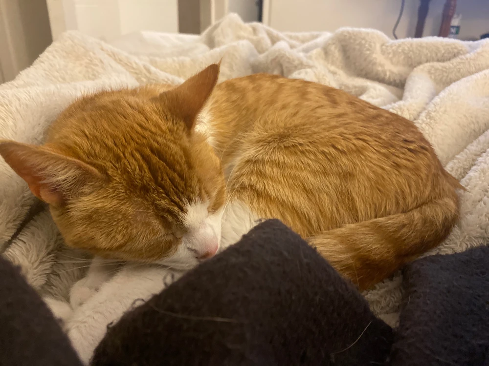 Imagen subida por Inna