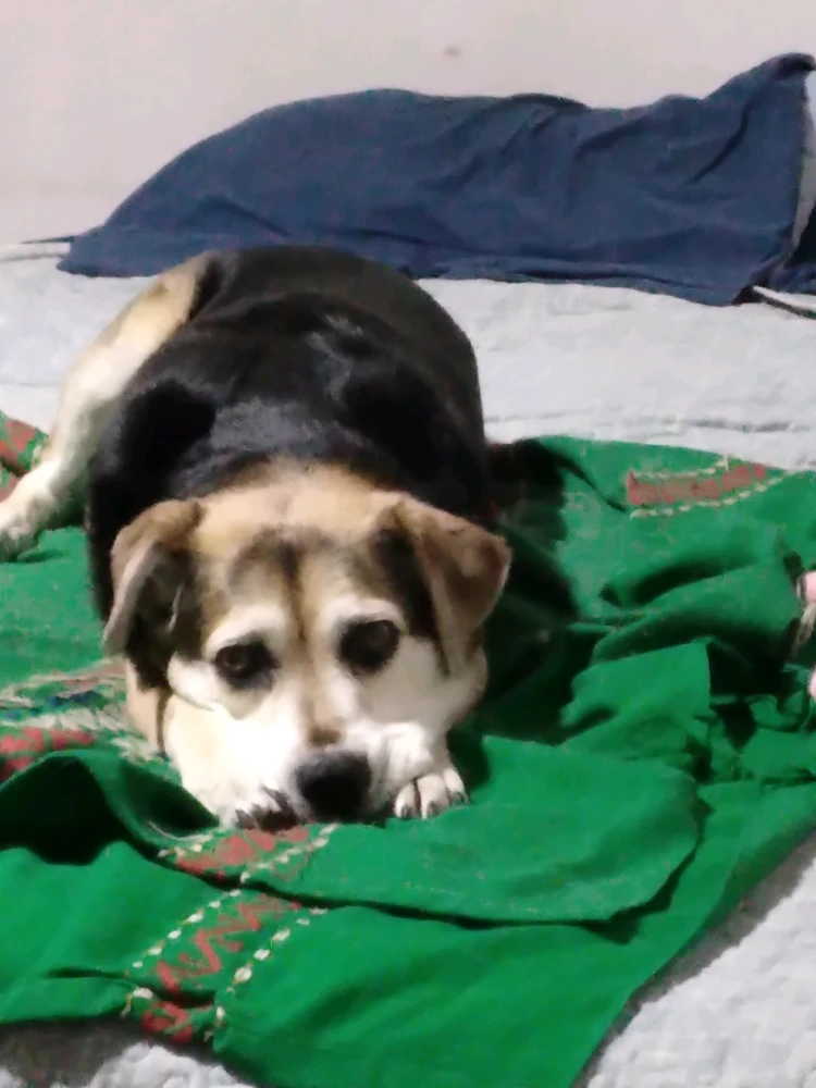 Image uploaded by Diego