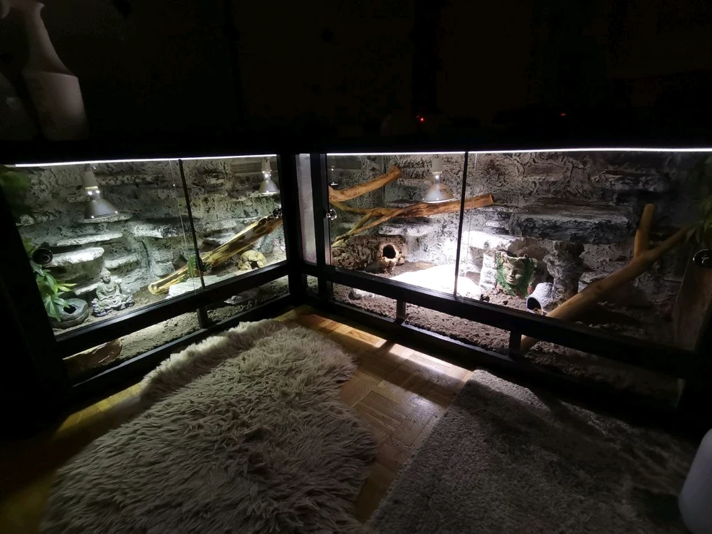 Bild hochgeladen von m Elan ie