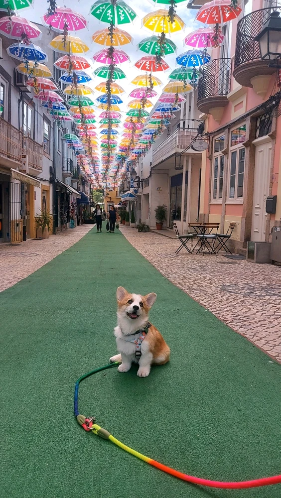 Image ajoutée par Punki