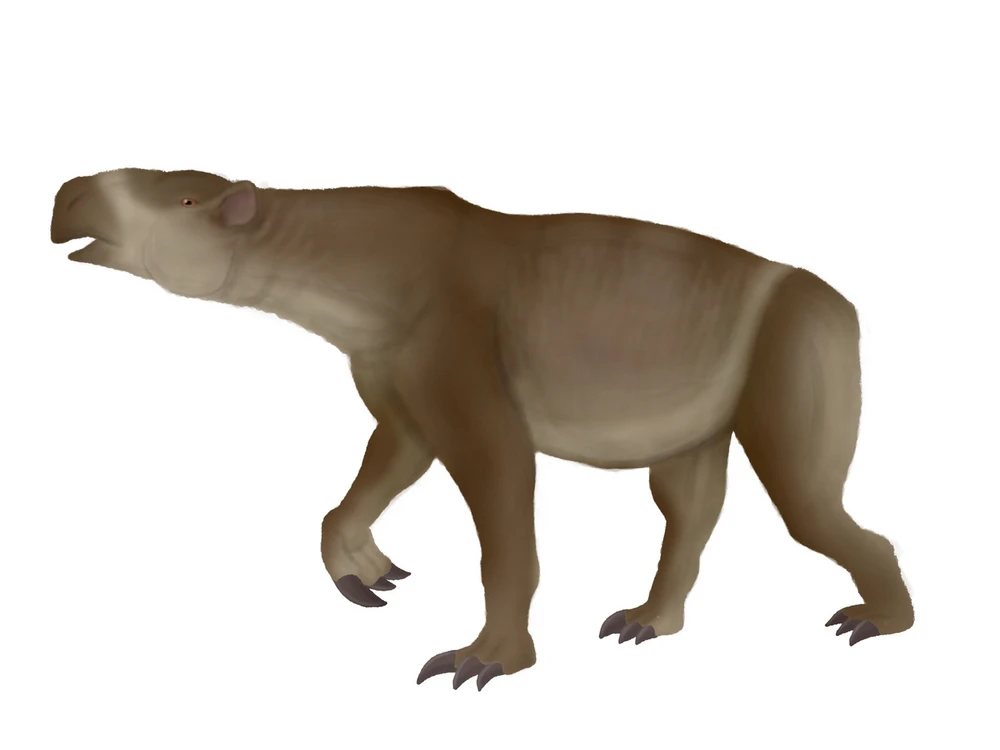 Reconstruction of Ancylotherium in life. By Jfstudiospaleoart