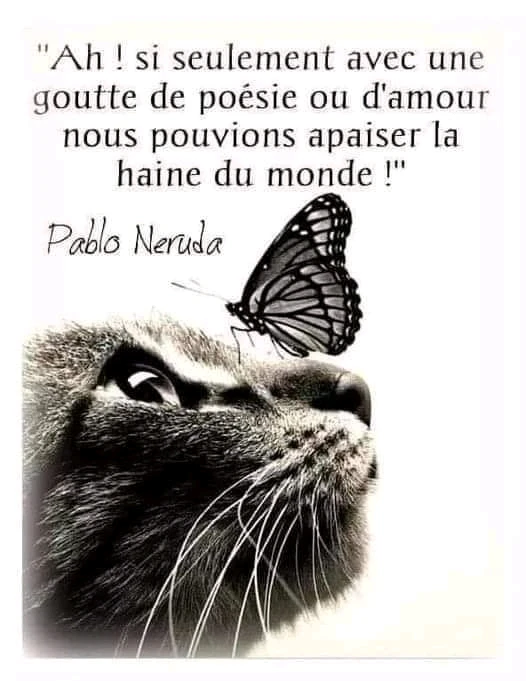 Image uploaded by Amélie