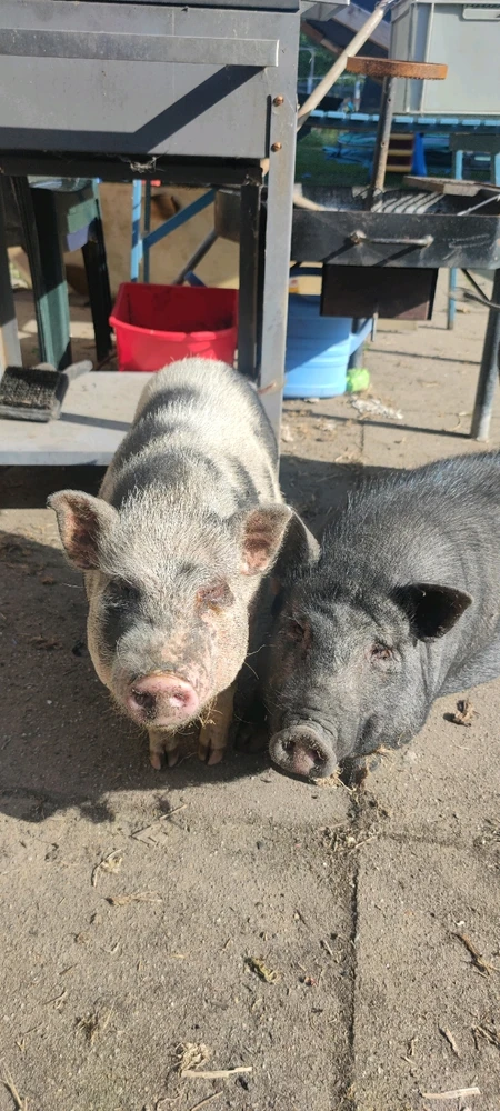 Bild hochgeladen von Diana