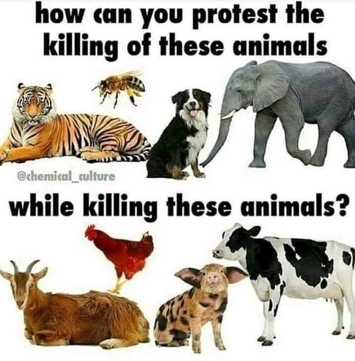 Image uploaded by Shaggy