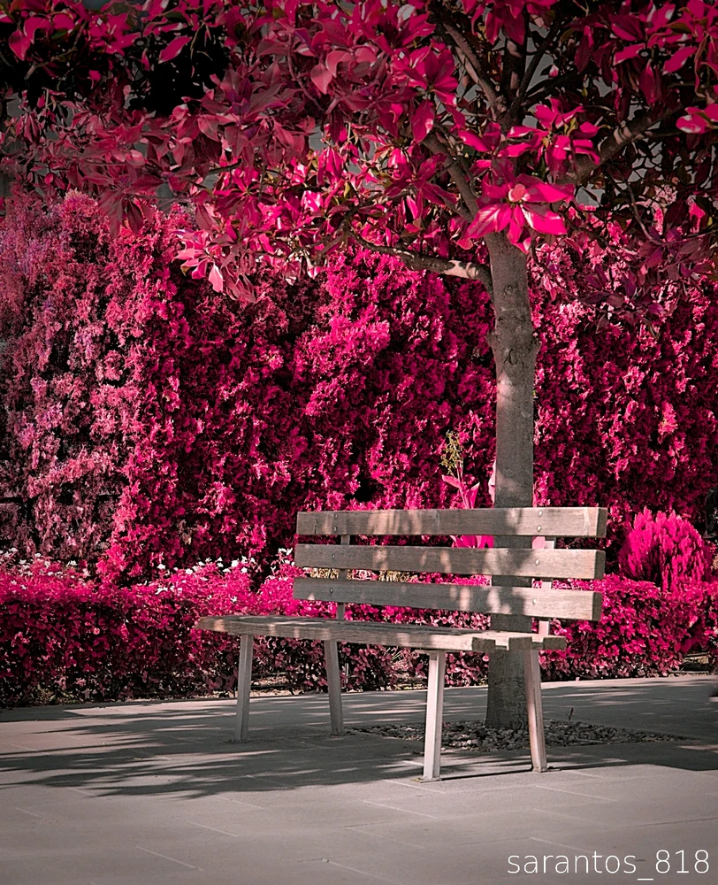 Εικόνα από ΣΑΡΆΝΤΟΣ