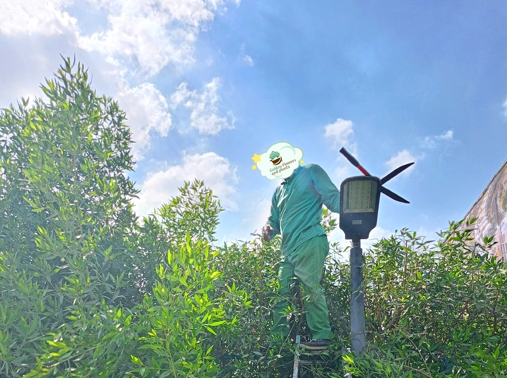 Image uploaded by SheToS