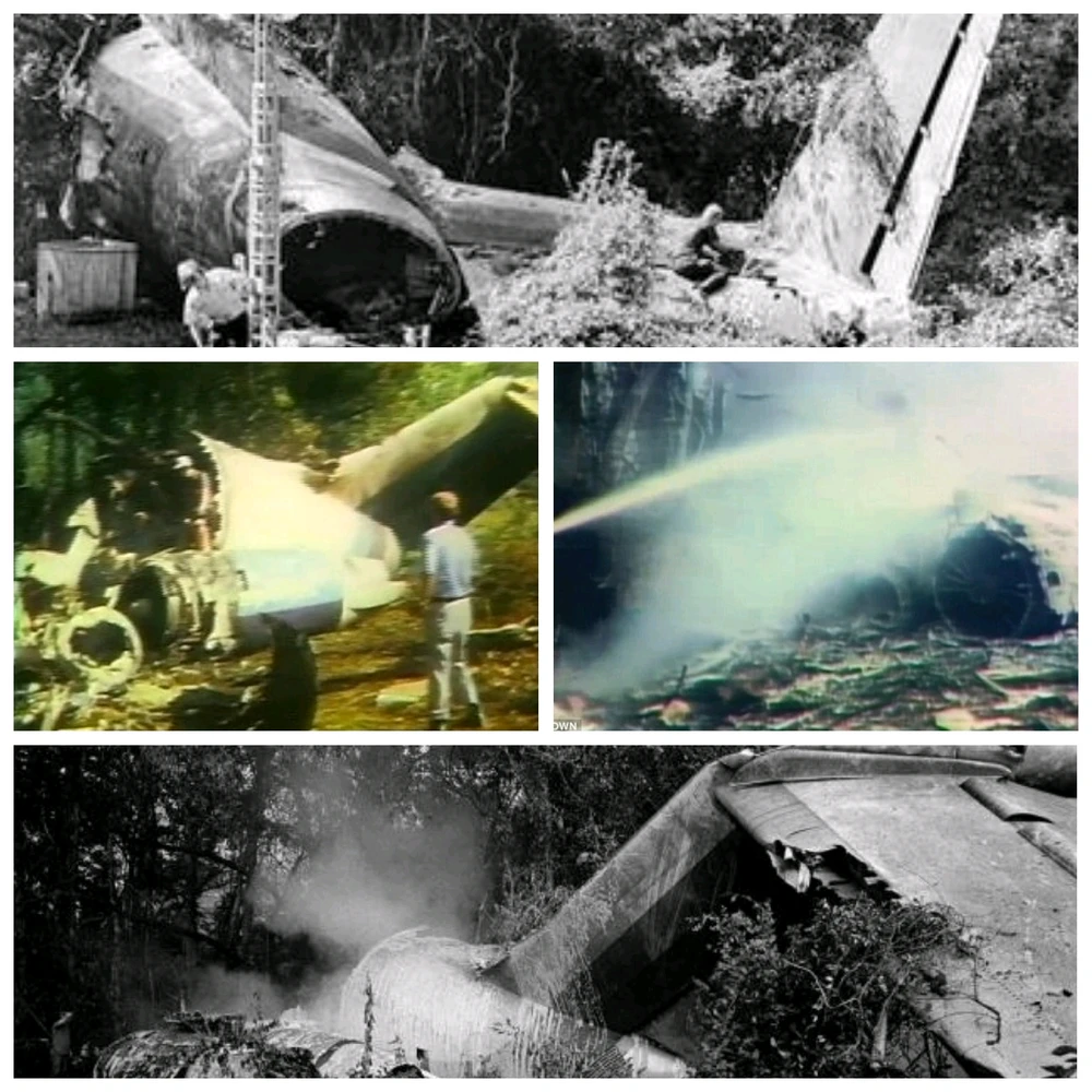 Image uploaded by Erik Thackrey