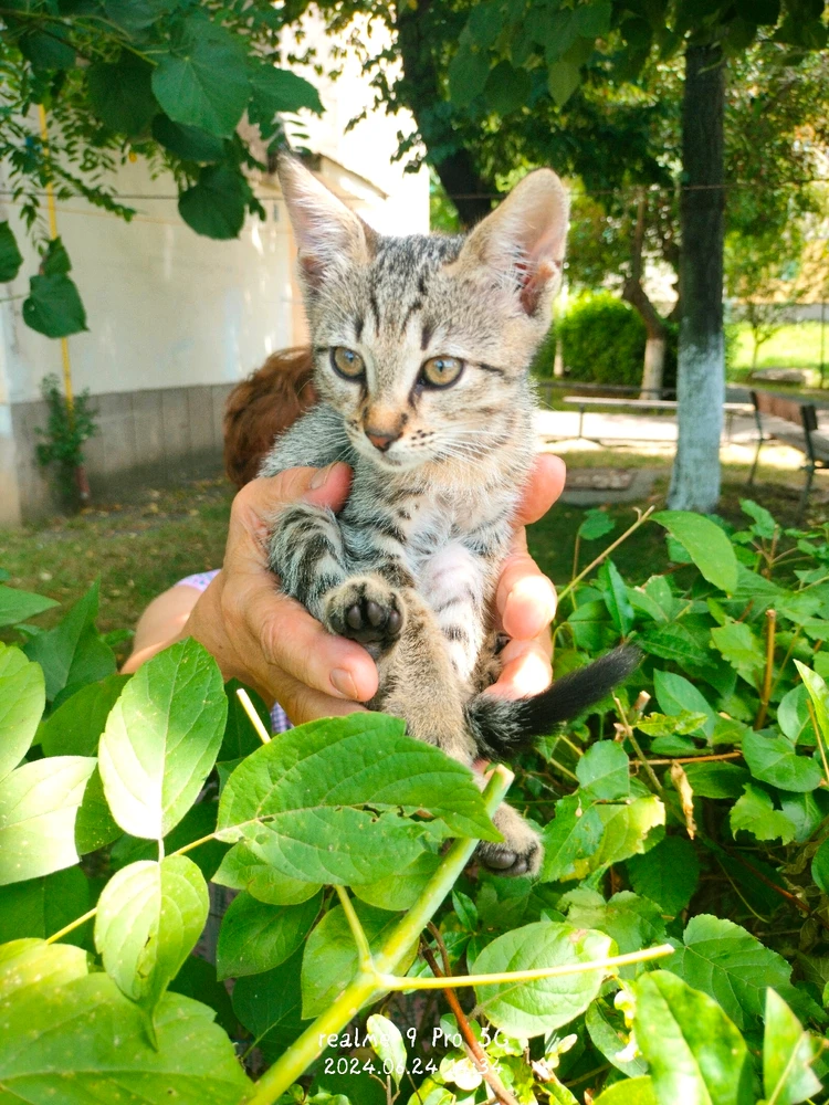 Imagine încărcată de Alex