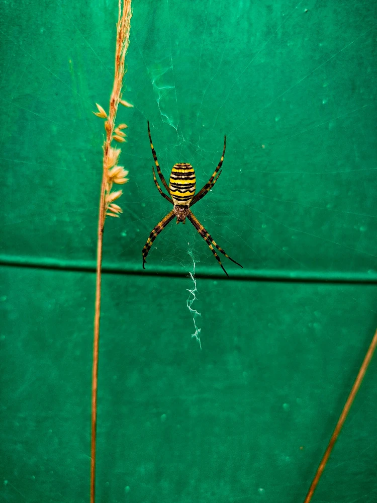 Obrázek nahrál Helenka - Wensdy