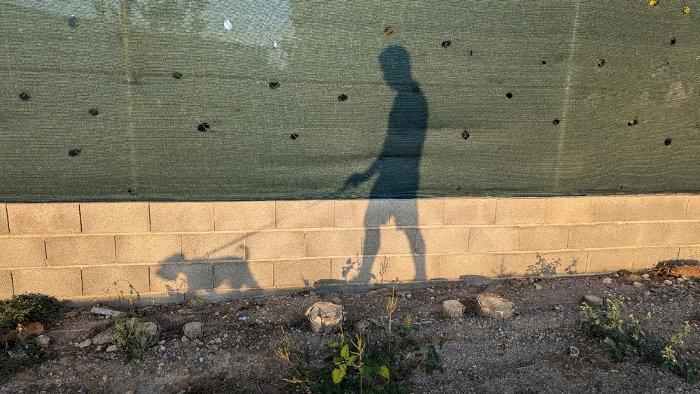 Imagen subida por Jose