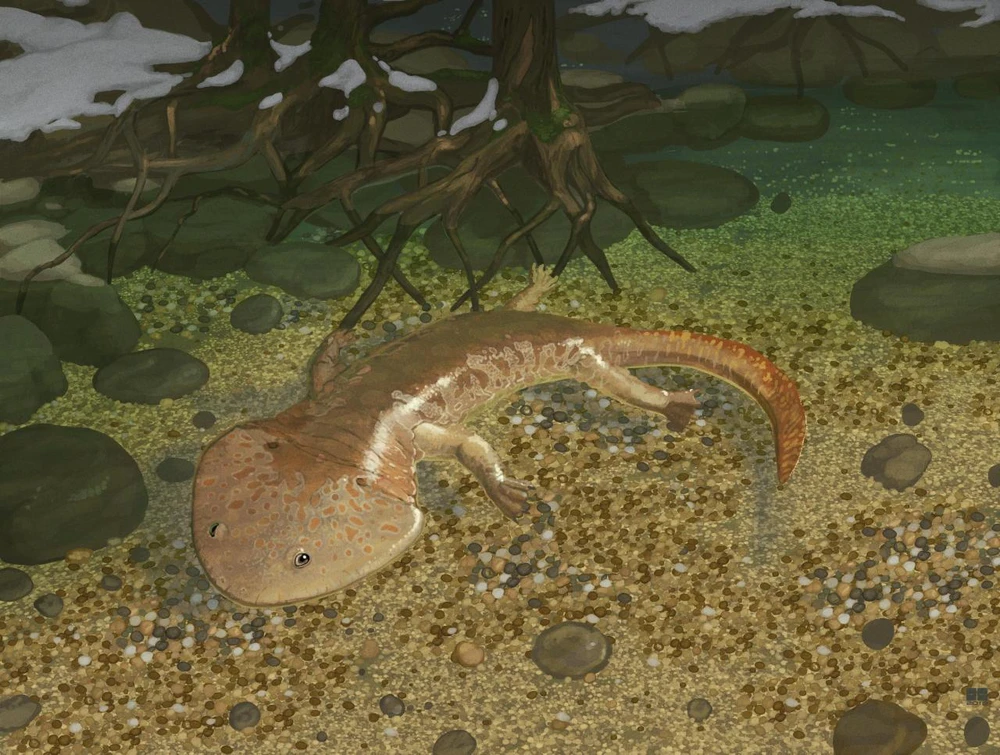 Image uploaded by James