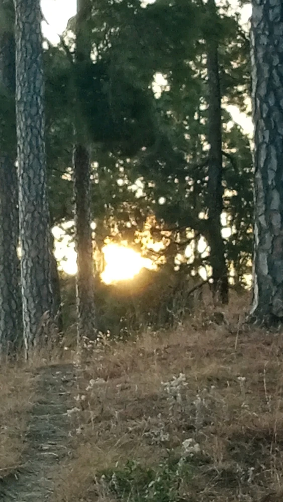 Image uploaded by Gypsy