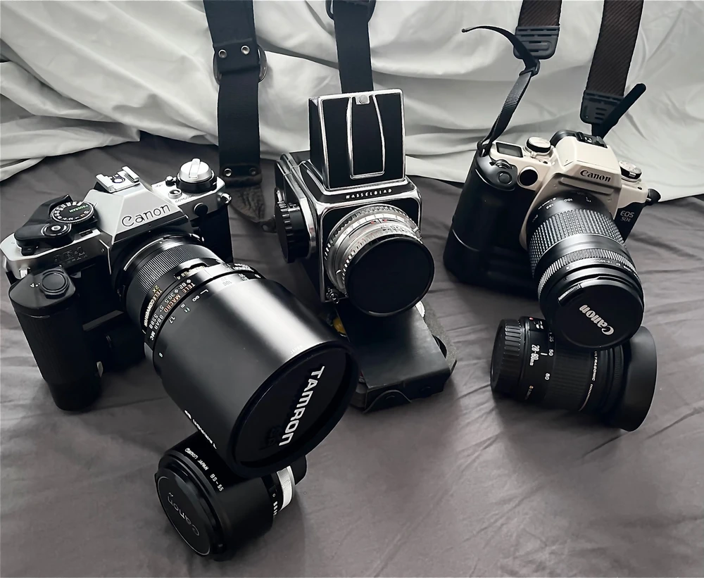 From left to right a Canon AE-1 Program, a Hasselblad 500c and a Canon EOS 50e