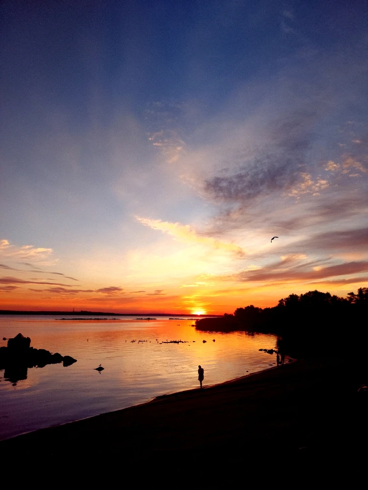 Зображення завантажив Діана