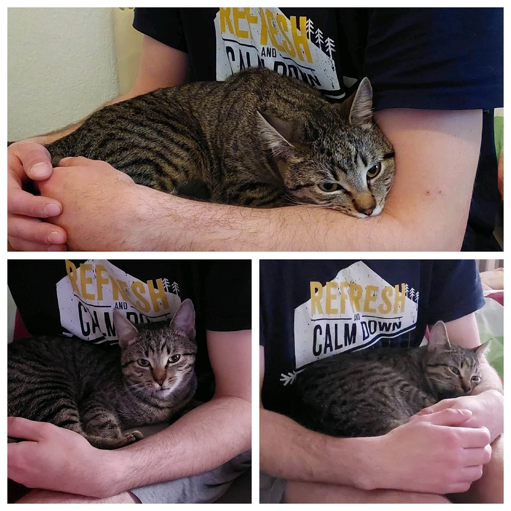 Ádám által feltöltött kép