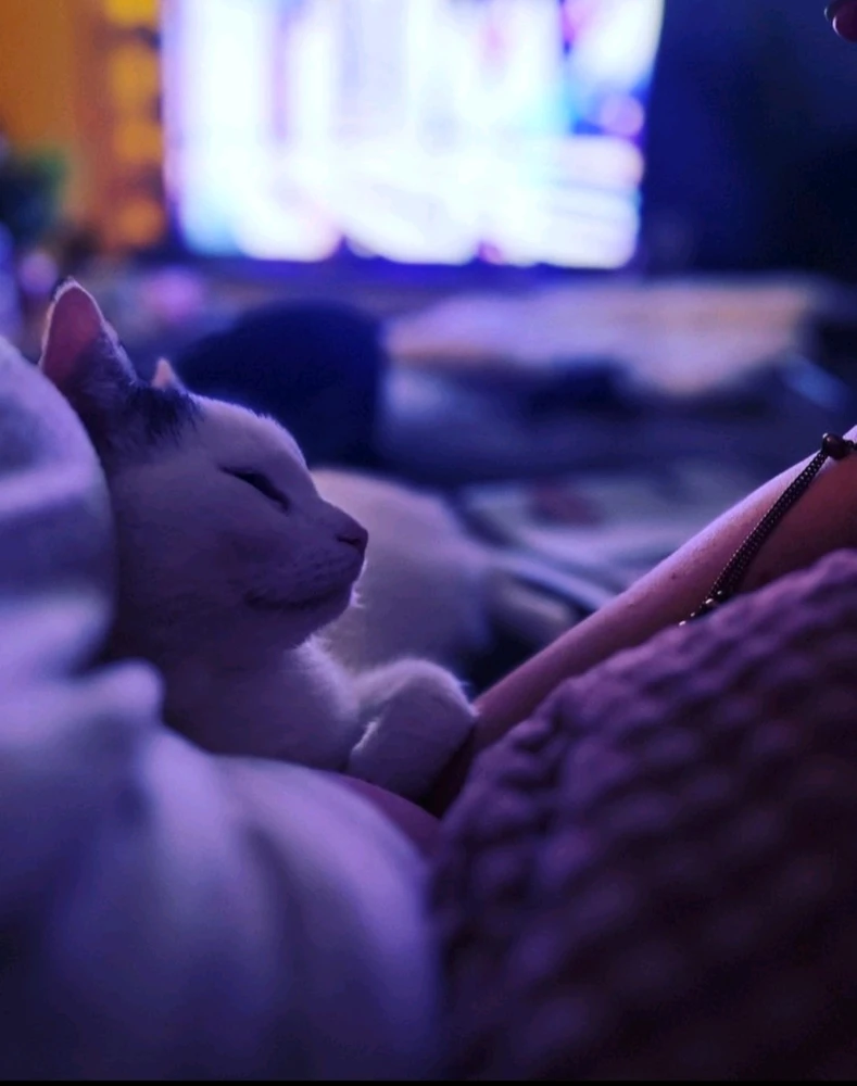 Just a little photography