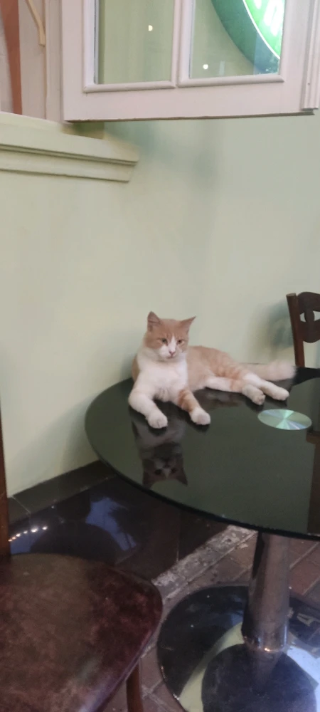 Фото загрузил Julia