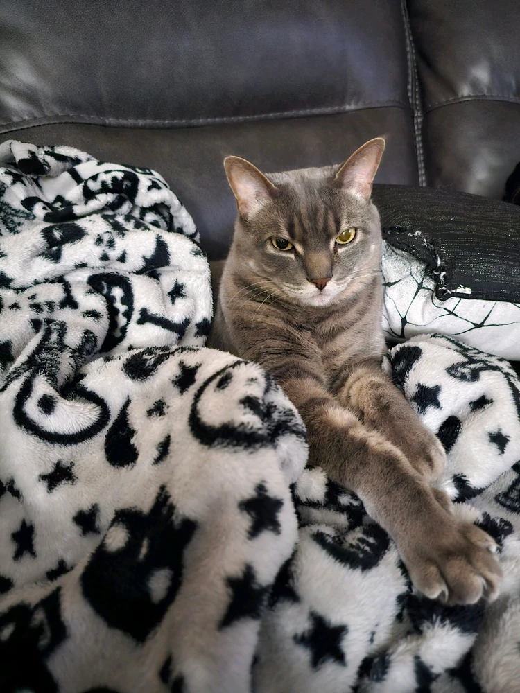 Image uploaded by Jazz