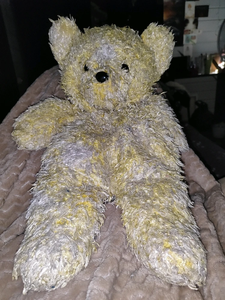 Фото загрузил Ann