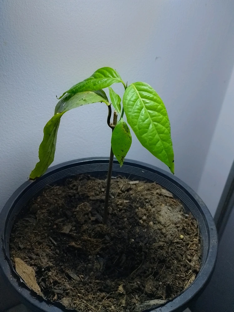 Image uploaded by Jesse