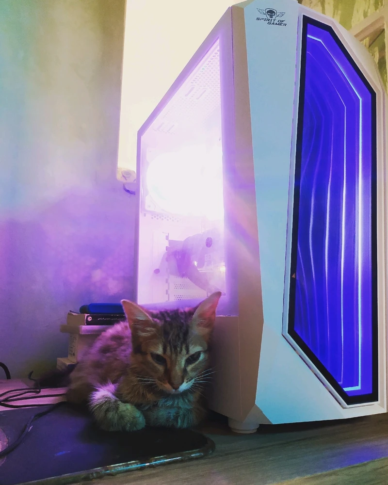 Image uploaded by Zaki