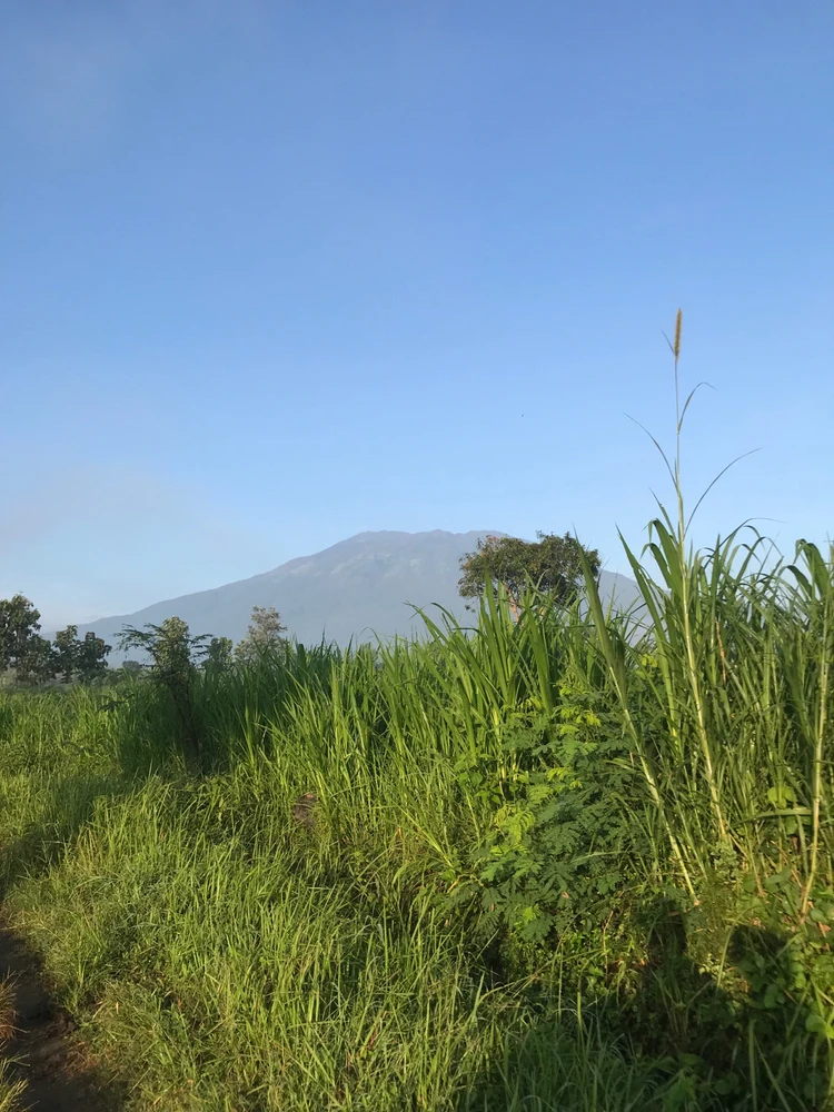 Image uploaded by Mira