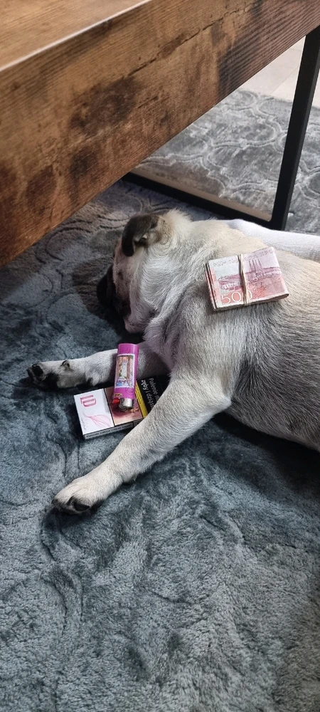 Zdjęcie dodane przez Hubert