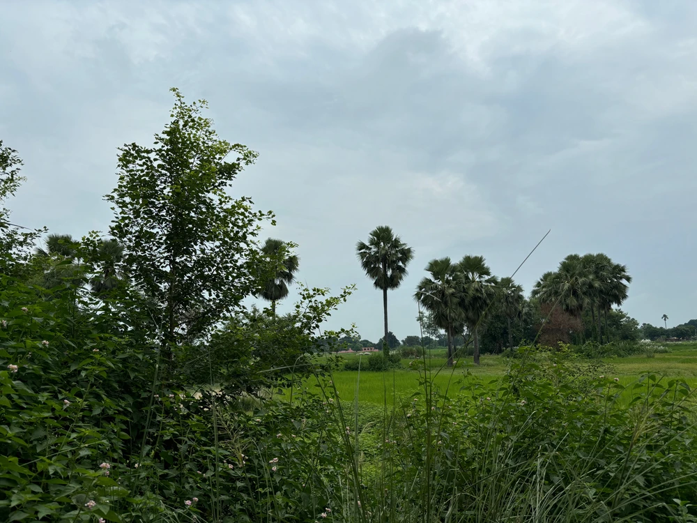 Image uploaded by Aryan Mishra