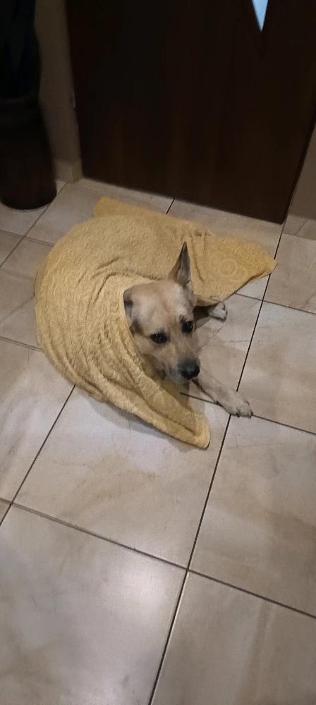 Zdjęcie dodane przez Maciek