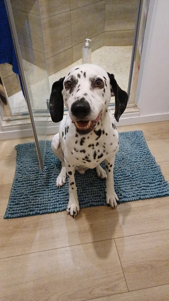 Image ajoutée par Greg