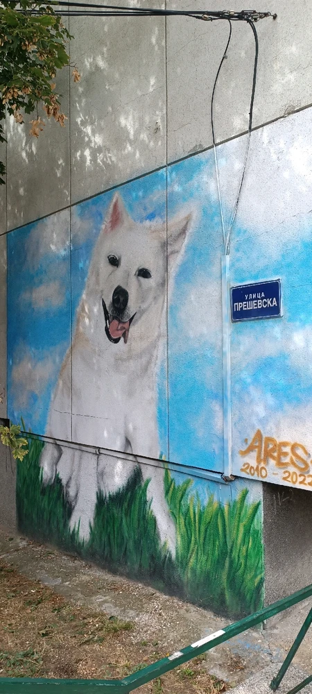 Image uploaded by Nikita