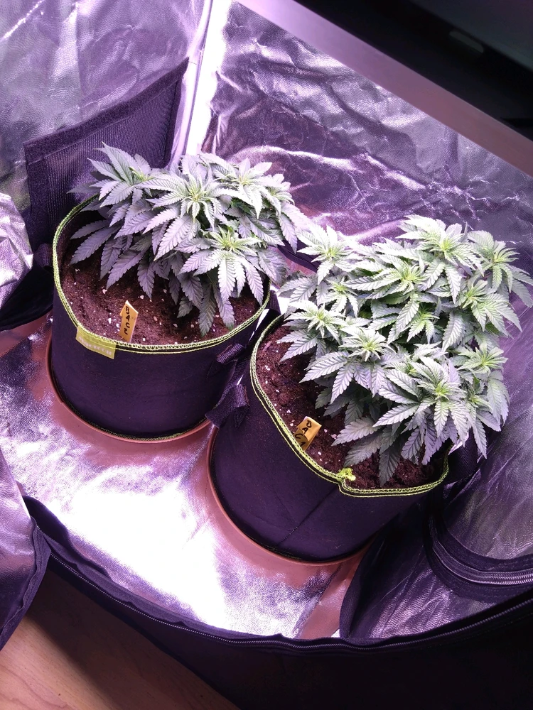 Bild hochgeladen von Find's doch raus