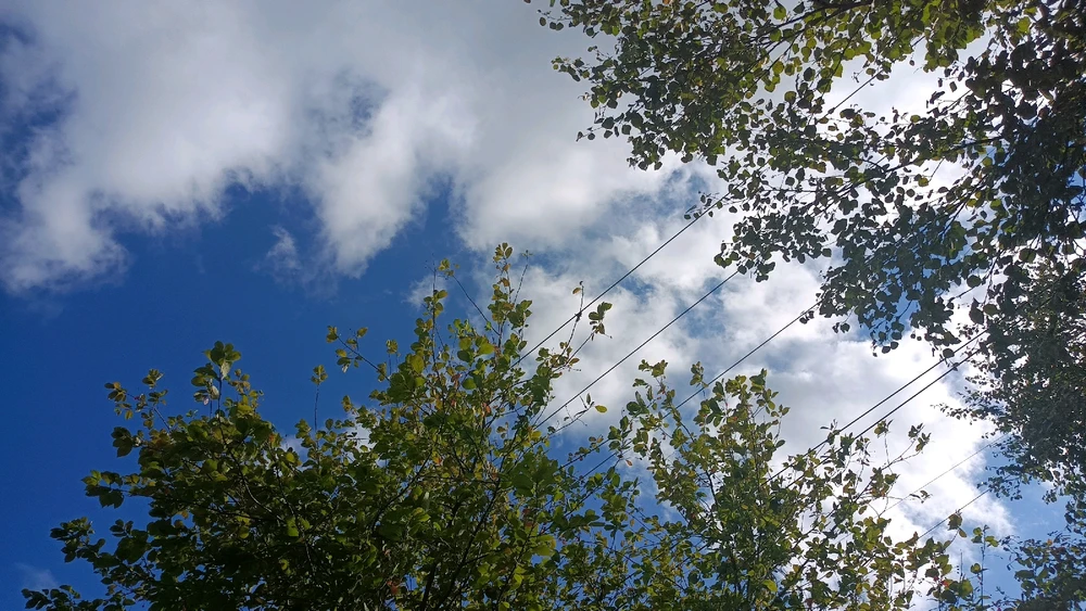 Фото загрузил Никита