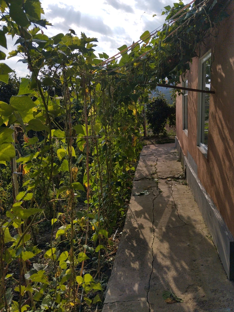 Image uploaded by Fatih