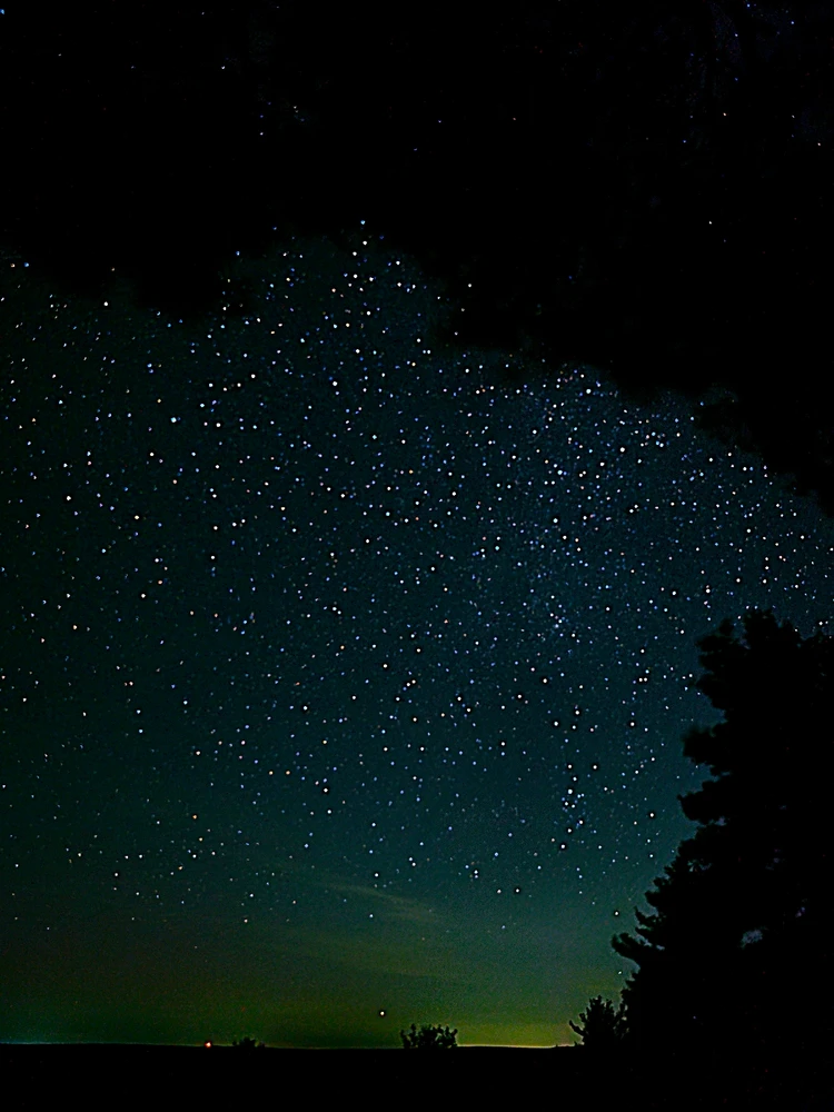 Image uploaded by Tucson