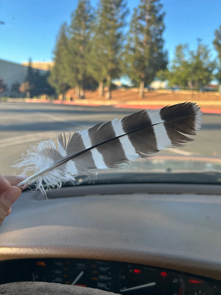 Feather