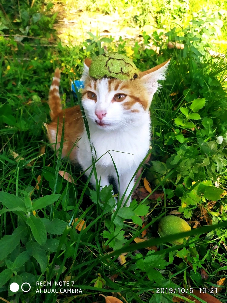 Murat tərəfindən yüklənən şəkil