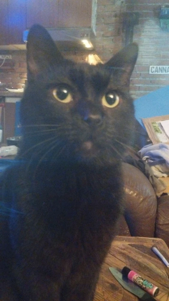 Immagine caricata da Ale