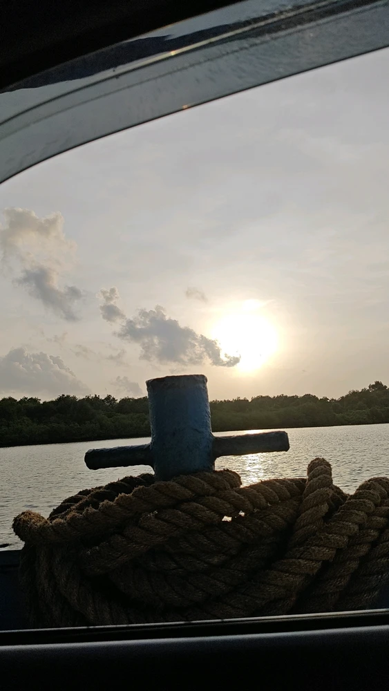 Image uploaded by Aden