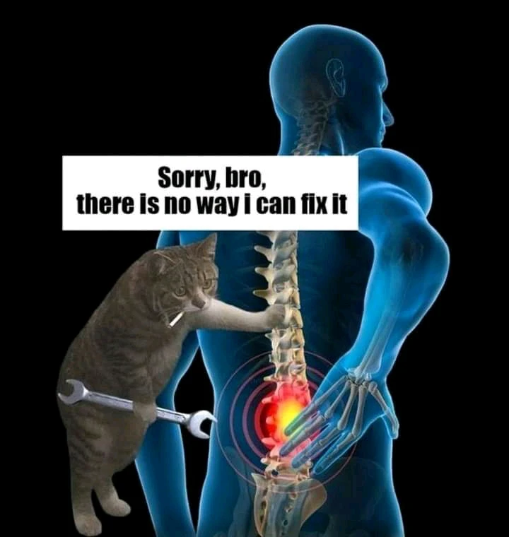 Imagen subida por Gisela