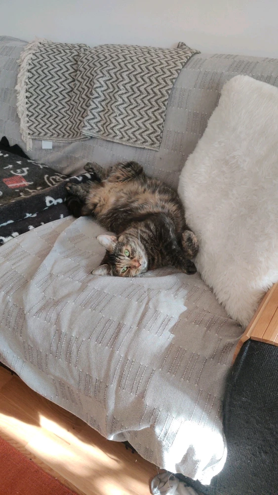 Bild uppladdad av Vilma