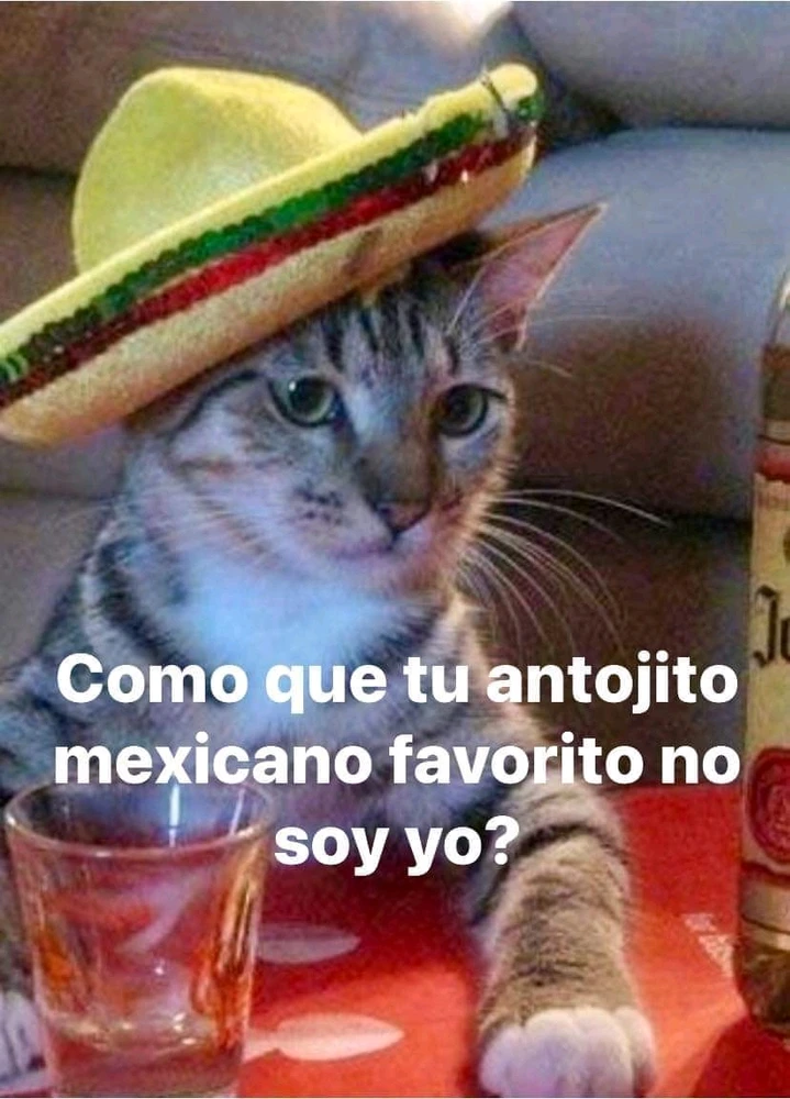 Imagen subida por Daniel Alejando