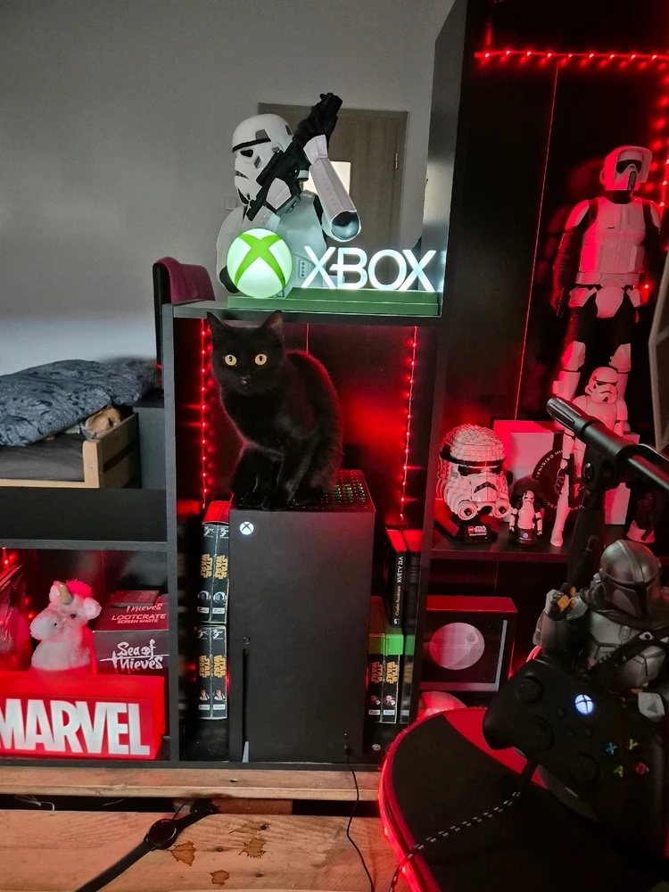 Obrázek nahrál Karel Kopfrkingl