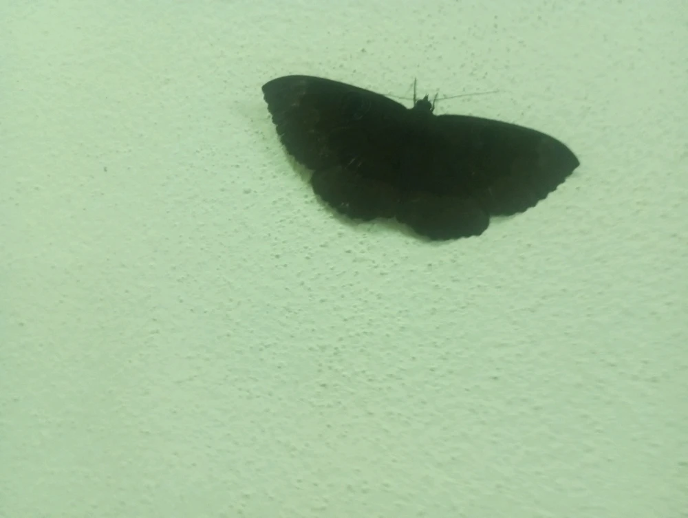 รูปที่อัพโหลดโดย Janis